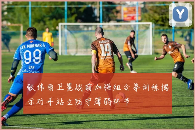 张伟丽卫冕战前加强组合拳训练揭示对手站立防守薄弱环节